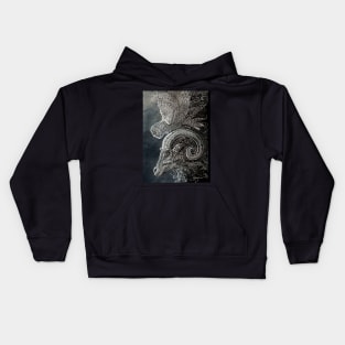 Owl and Ram Kids Hoodie